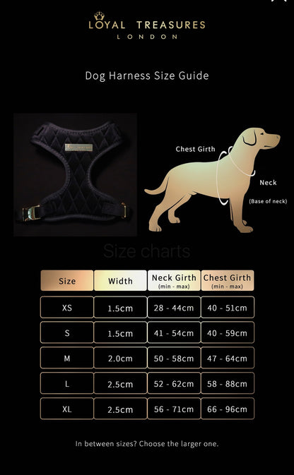 Adjustable Velvet Collar