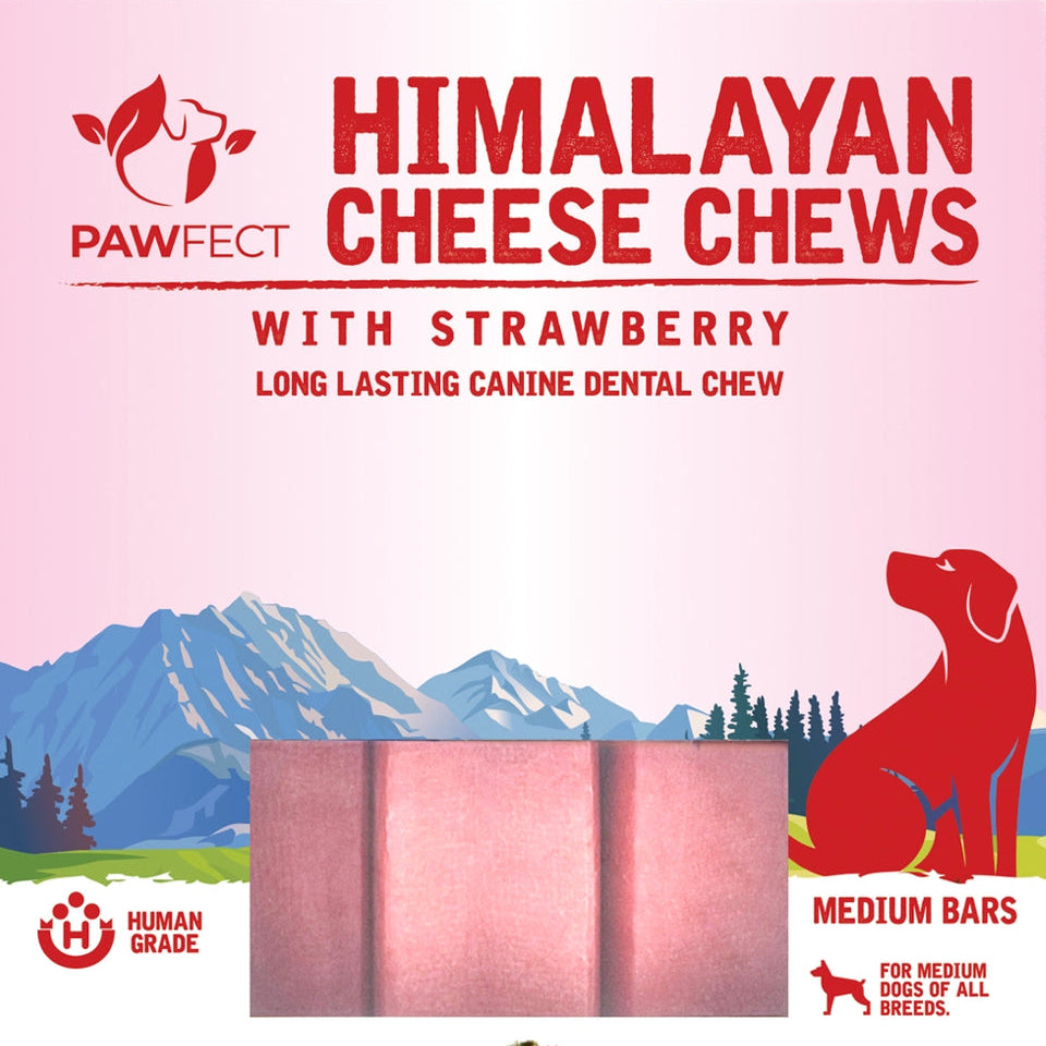 Pawfect - Himalayan cheese chews (Natural dental stick)
