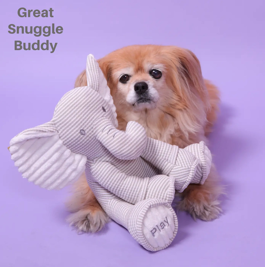 My Sensory Elephant Plush Dog Toy