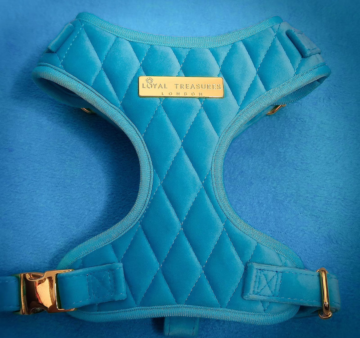 Loyal Treasures Clearance Sale - Harness / Lead / Collars