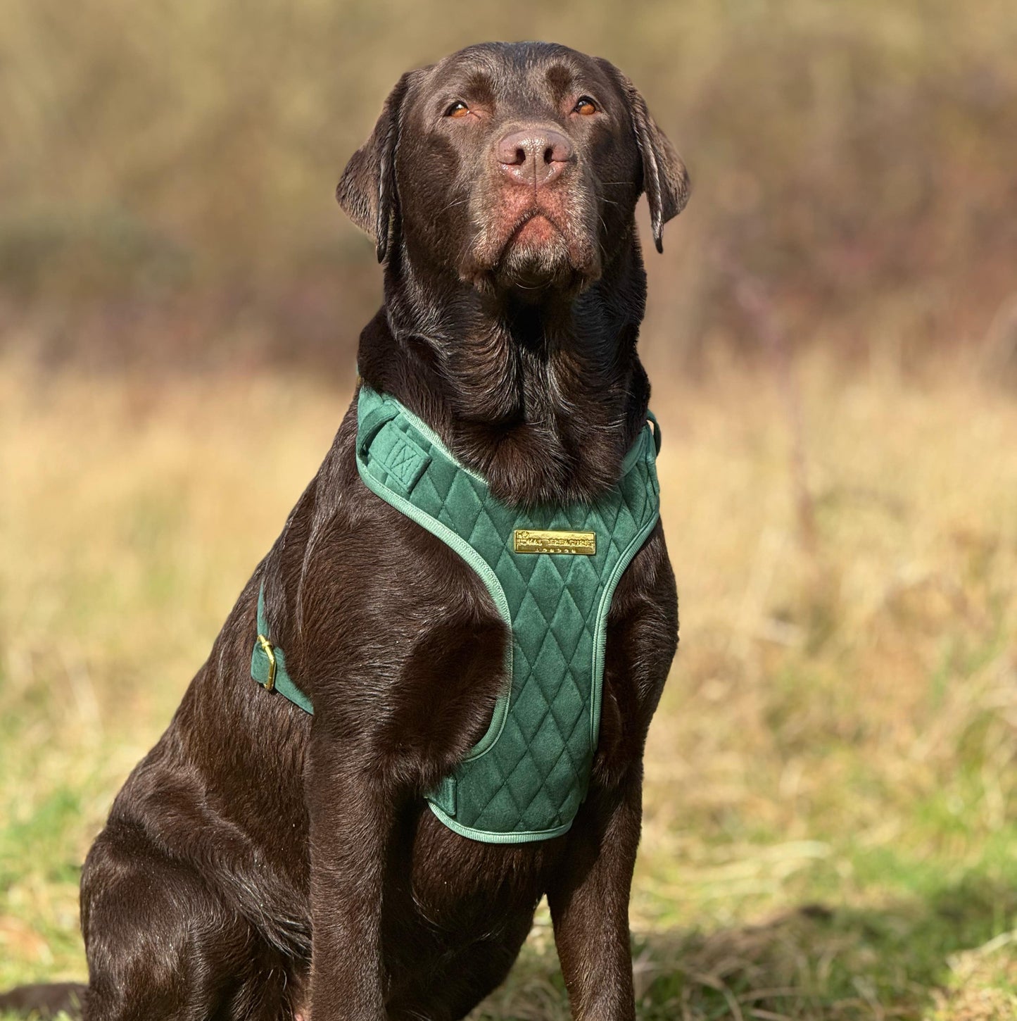 Emerald Quartz Velvet - Build Your Own Harness Bundle