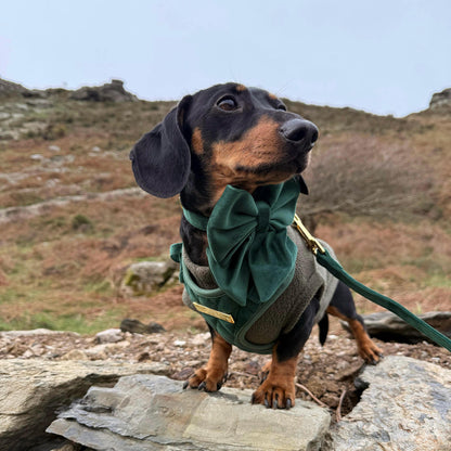 Emerald Quartz Velvet - Build Your Own Harness Bundle