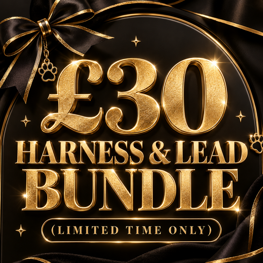 Harness & Lead Bundle Deal (Chosen on live)