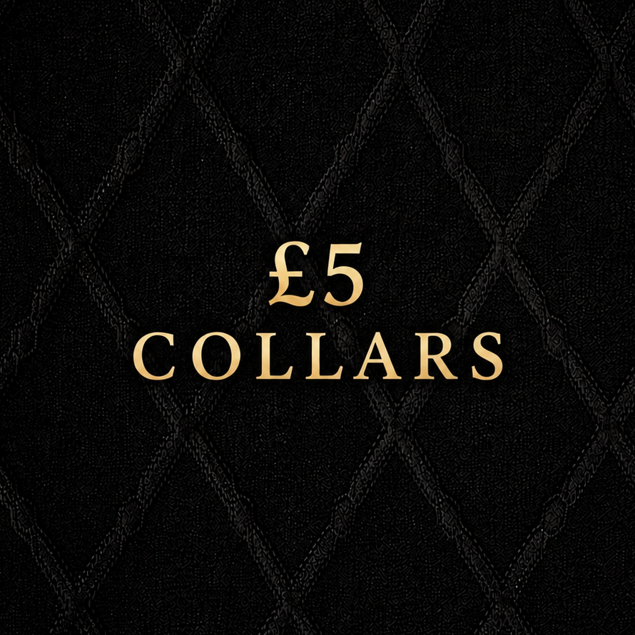 Adjustable Velvet Collar