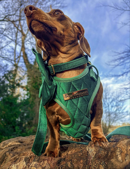 Emerald Quartz Velvet - Build Your Own Harness Bundle