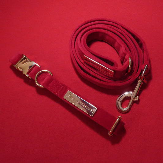 Mystery Collar & Lead Duo