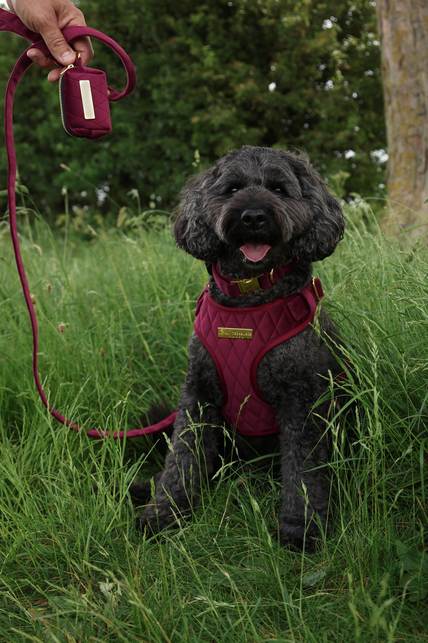 Mulberry Haze | Persian Plum Velvet - Build Your Own Dog Harness Bundle
