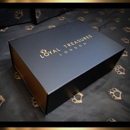 Mystery Treasure Box (Harness & Lead Edition)