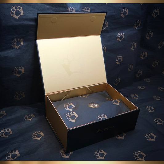 Mystery Treasure Box (Collar & Lead Edition)