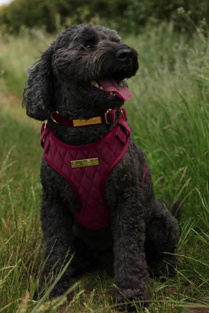 Mulberry Haze | Persian Plum Velvet - Build Your Own Dog Harness Bundle