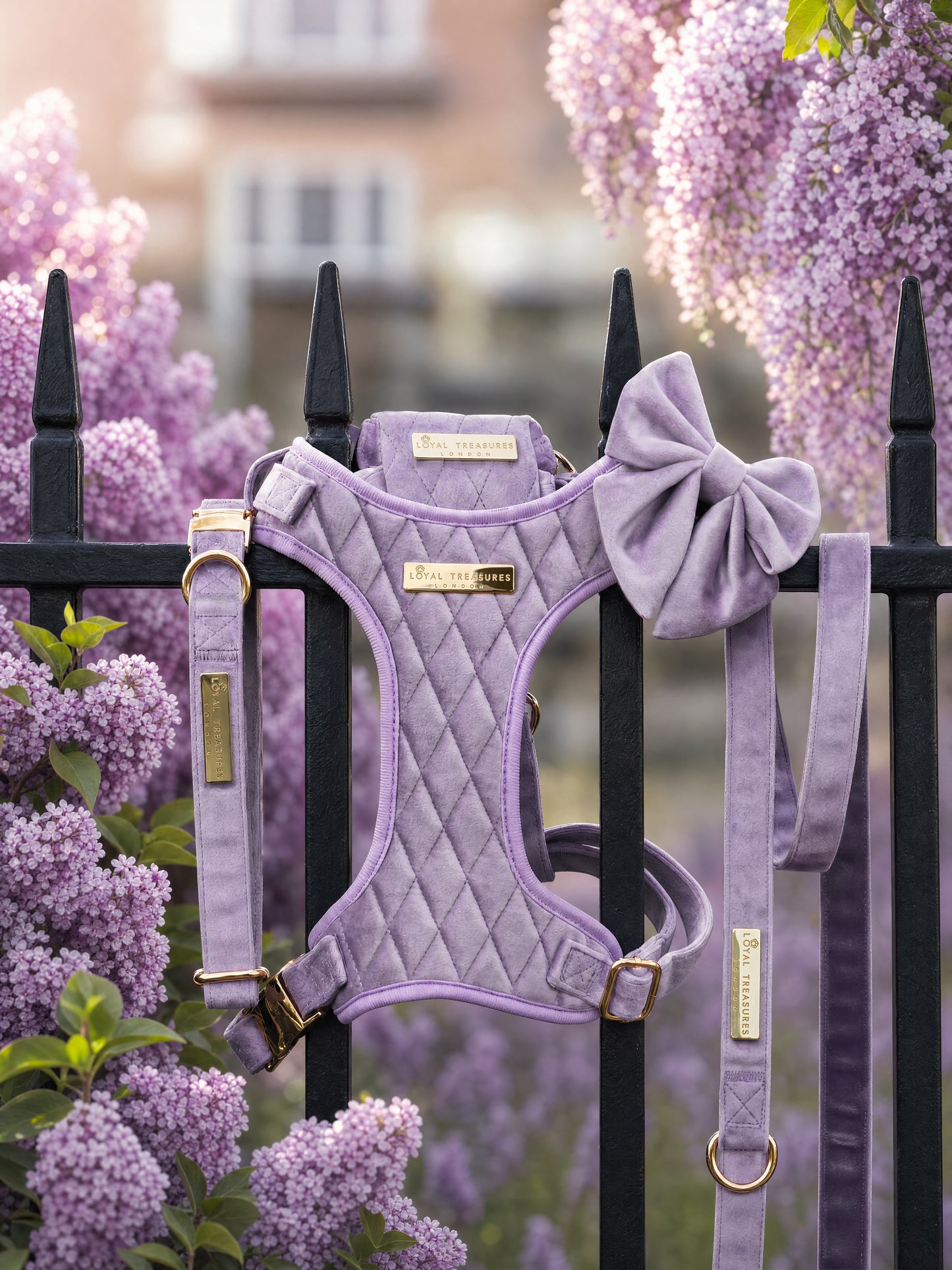 Lavender Veil | Frosted Lilac Velvet - Build Your Own Dog Harness Bundle