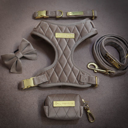 Cafe au Lait Chic Harness, Lead, Collar, Poop Bag, Bow Tie Bundle