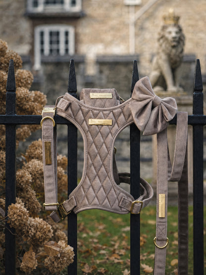 Café Au Lait Chic | Latte Beige Velvet - Build Your Own Dog Harness Bundle