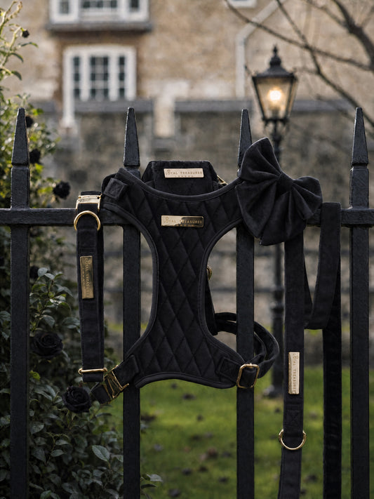 Boujee Black | Midnight Black Velvet - Build Your Own Dog Harness Bundle