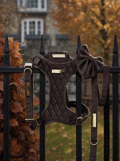 Chocolat Velouté | Espresso Brown Velvet - Build Your Own Dog Harness Bundle