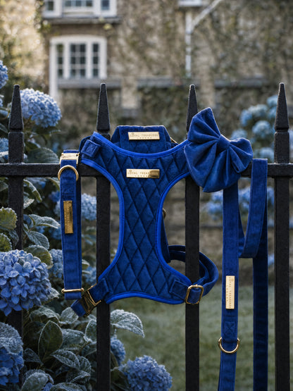 Blue Moon | Royal Blue Velvet - Build Your Own Dog Harness Bundle