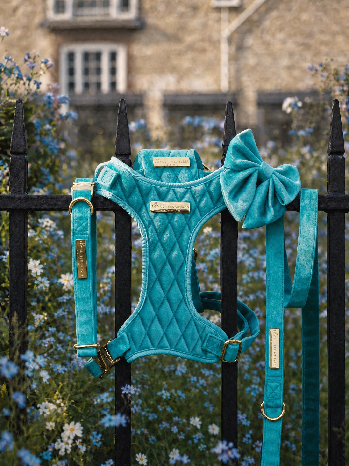 Crystal Blue | Aqua Blue Velvet
- Build Your Own Dog Harness Bundle