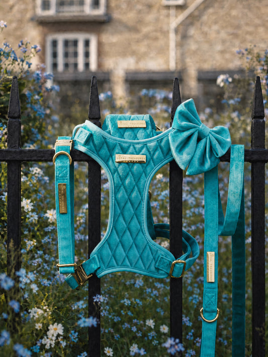 Crystal Blue | Aqua Blue Velvet
- Build Your Own Dog Harness Bundle