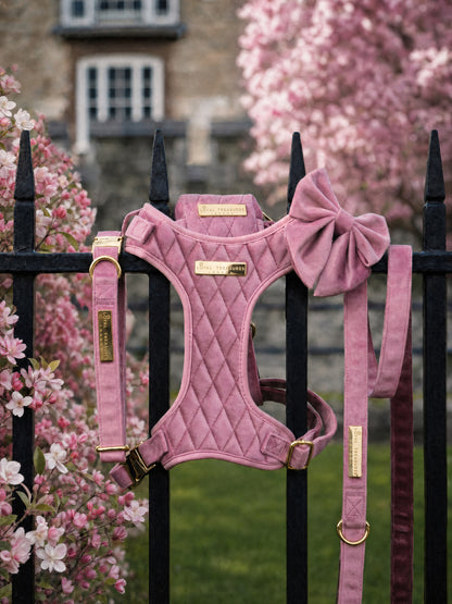 Pretty in Pink | Blush Pink Velvet - Build Your Own Dog Harness Bundle