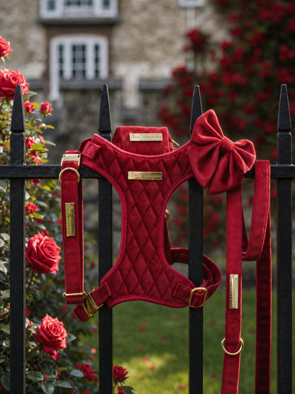 Royal Red | Crimson Red Velvet - Build Your Own Dog Harness Bundle