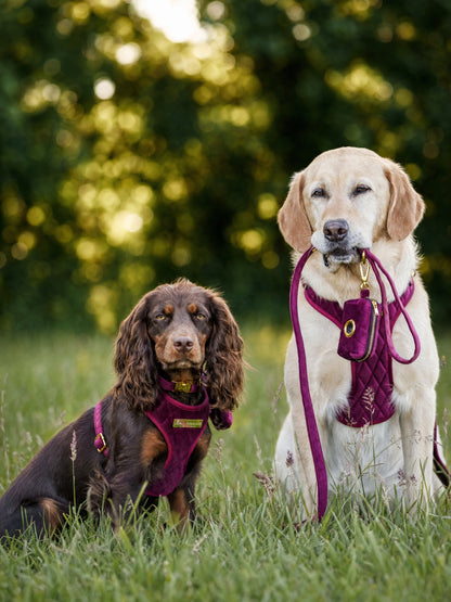 Mulberry Haze | Persian Plum Velvet - Build Your Own Dog Harness Bundle