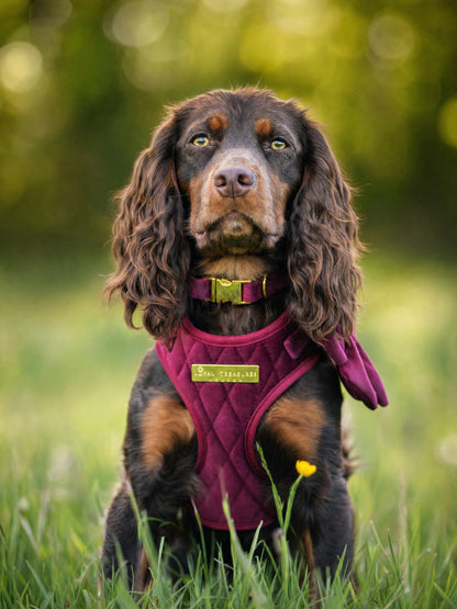 Mulberry Haze | Persian Plum Velvet - Build Your Own Dog Harness Bundle