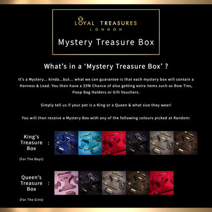 Mystery Treasure Box (Harness & Lead Edition)