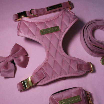 Pretty in Pink Velvet Harness, Lead, Collar, Poop Bag, Bow Tie Bundle