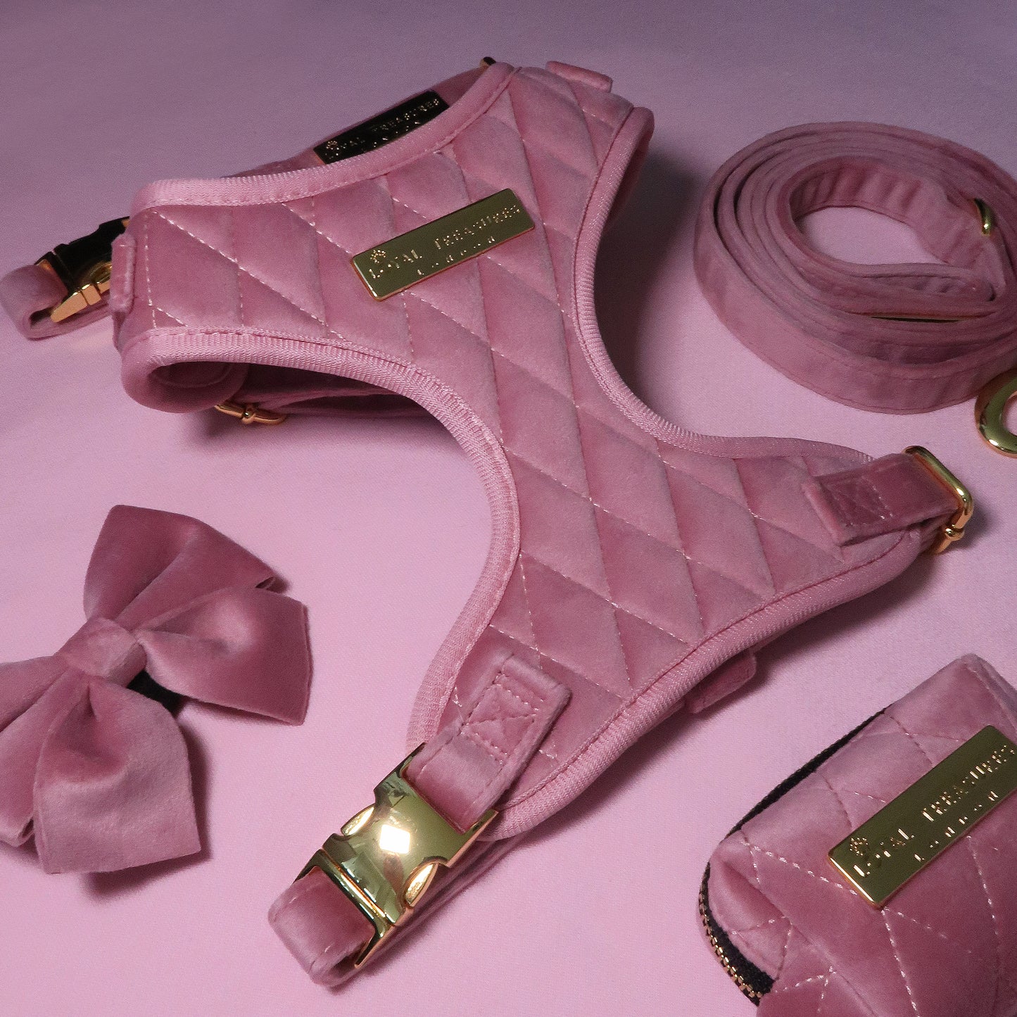 Pretty in Pink Velvet Harness, Lead, Collar, Poop Bag, Bow Tie Bundle