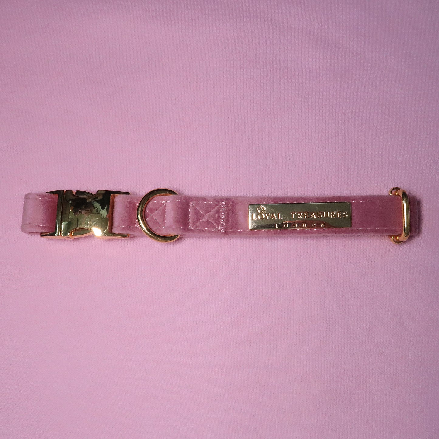 Pretty in Pink Velvet Collar