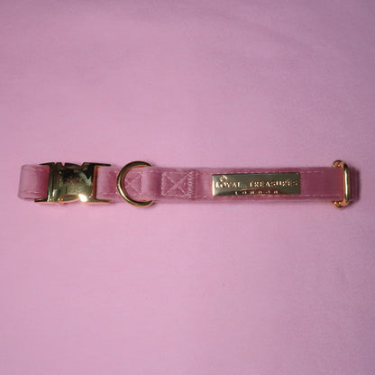 Pretty in Pink Velvet Collar