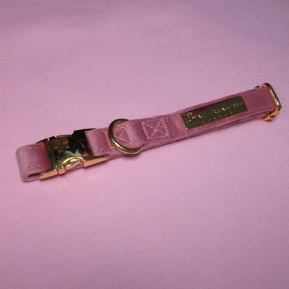 Pretty in Pink Velvet Collar