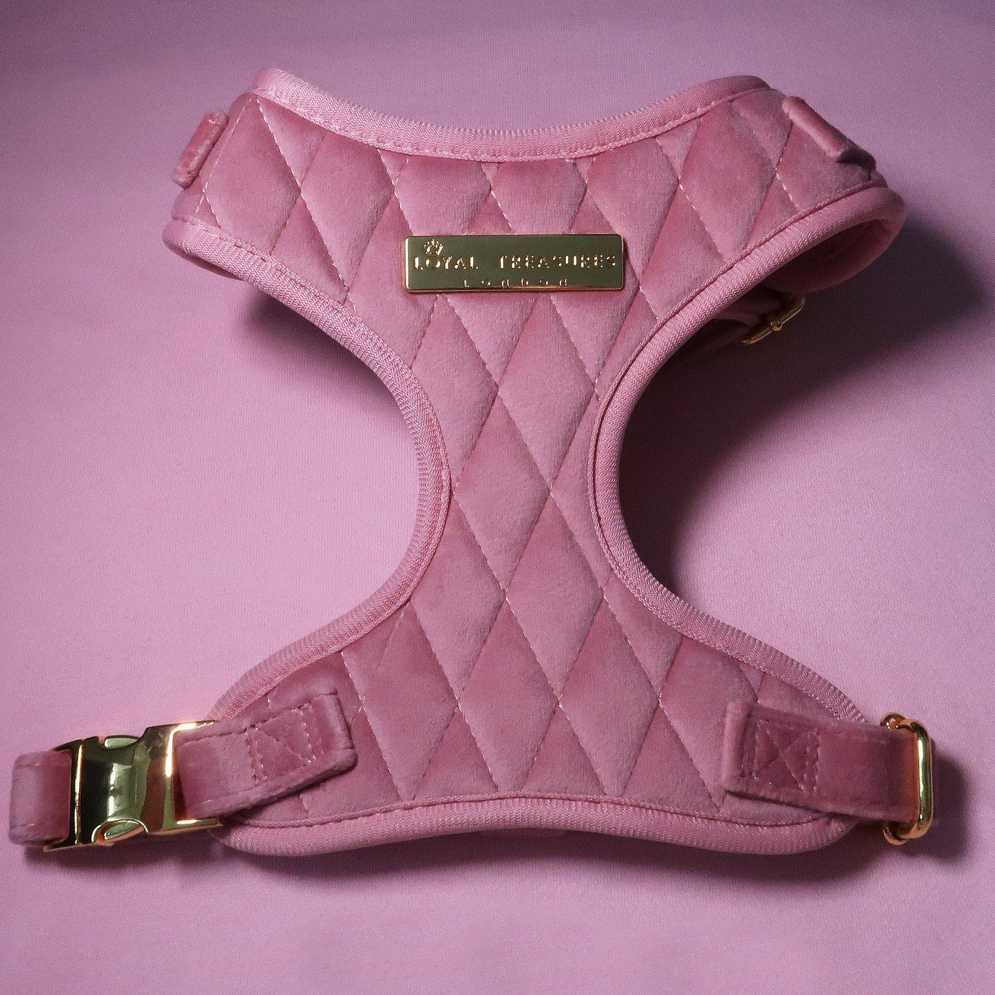 Pretty in Pink Velvet Adjustable Neck Harness