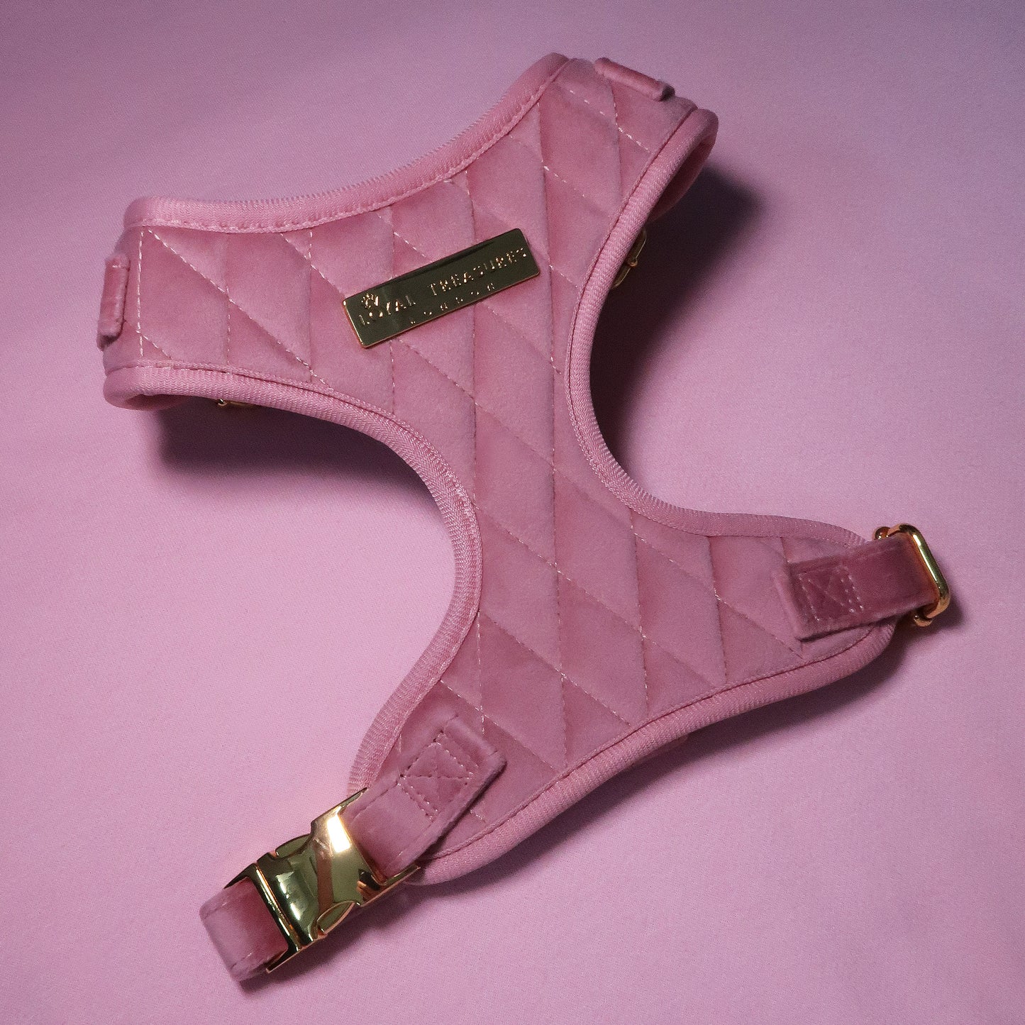 Pretty in Pink Velvet Adjustable Neck Harness