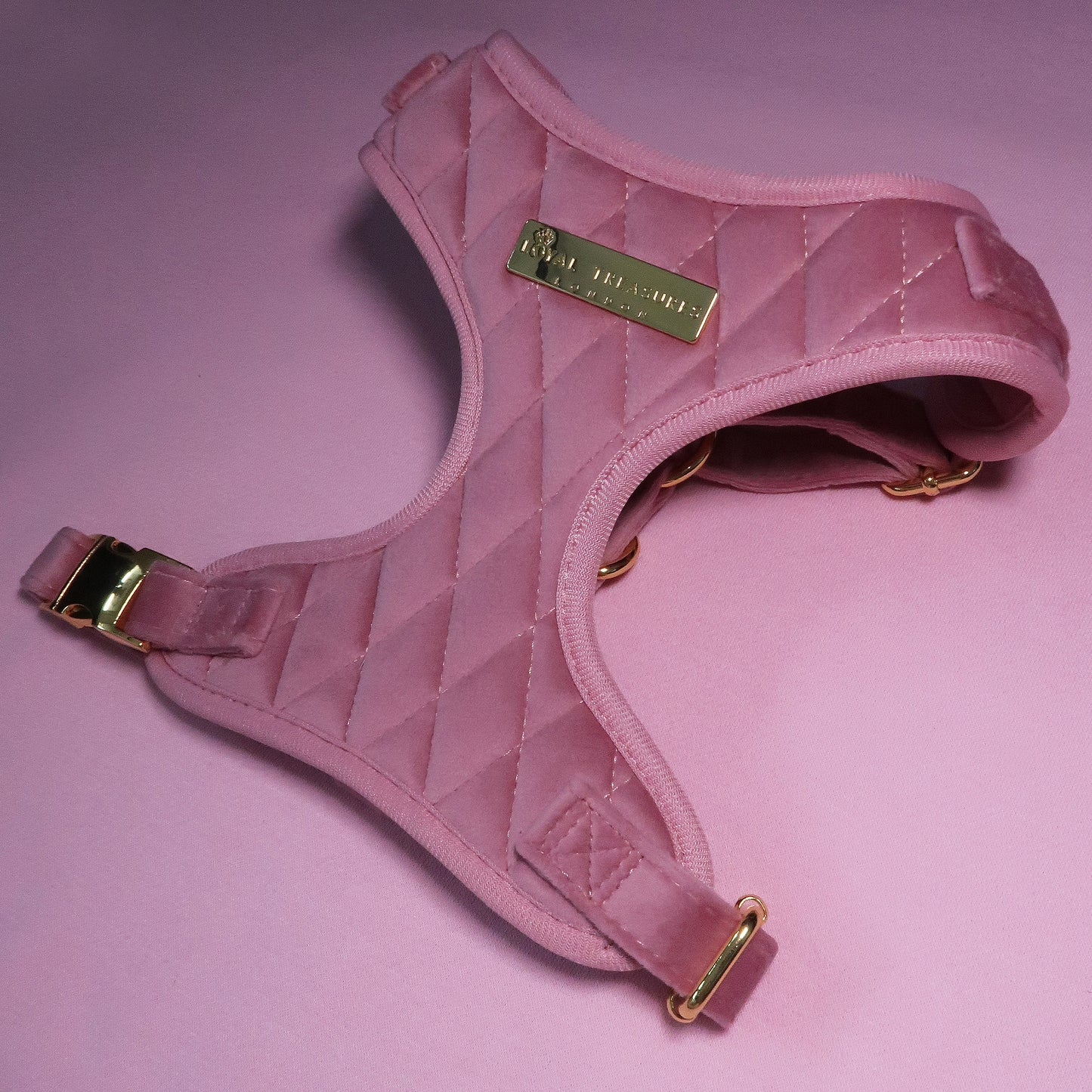 Pretty in Pink Velvet Adjustable Neck Harness