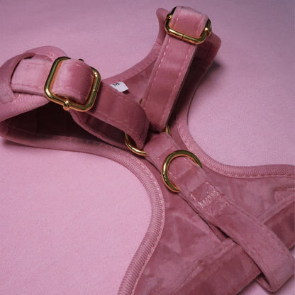 Pretty in Pink Velvet Harness, Lead, Collar, Poop Bag, Bow Tie Bundle