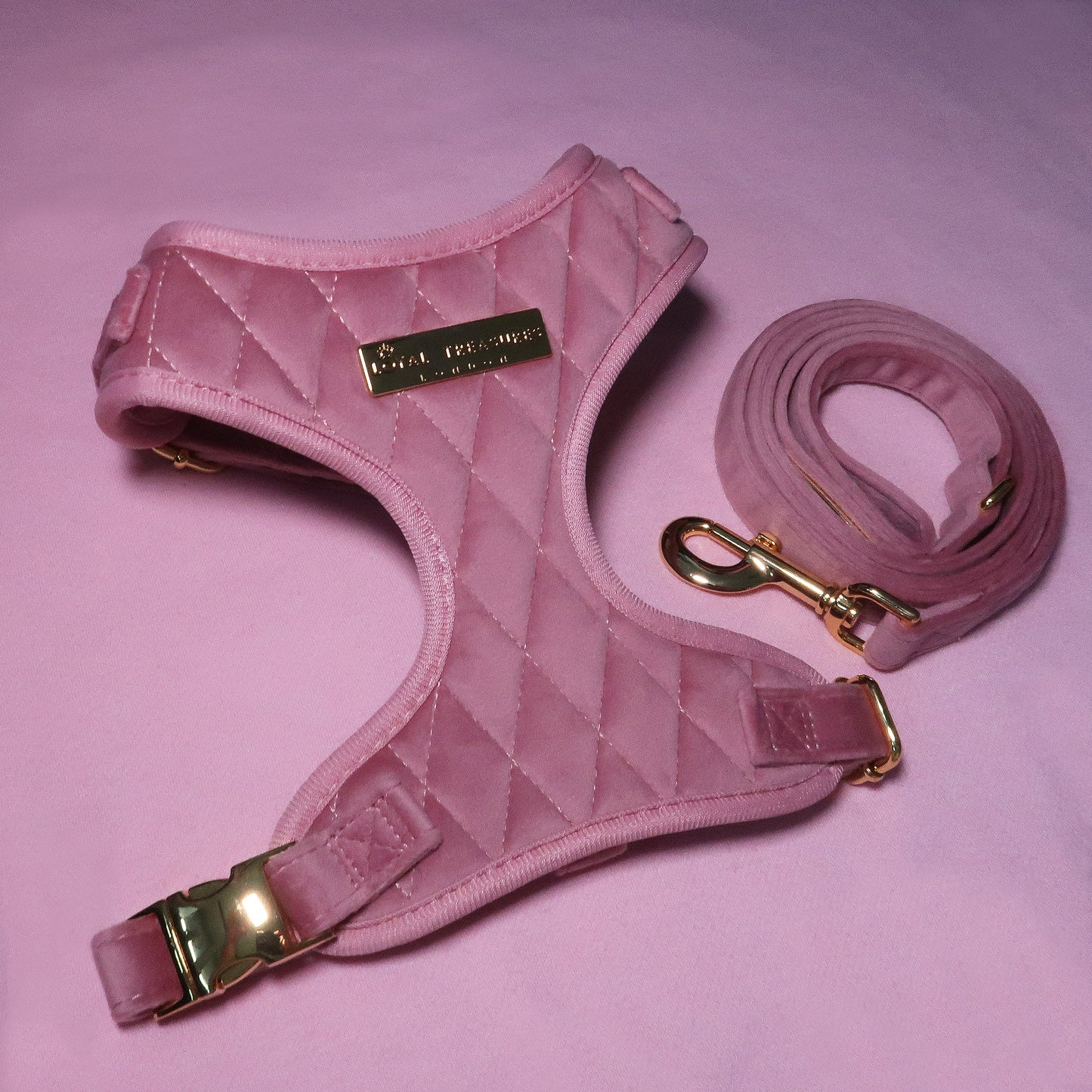 Pretty in Pink Velvet Adjustable Neck Harness & Lead Bundle