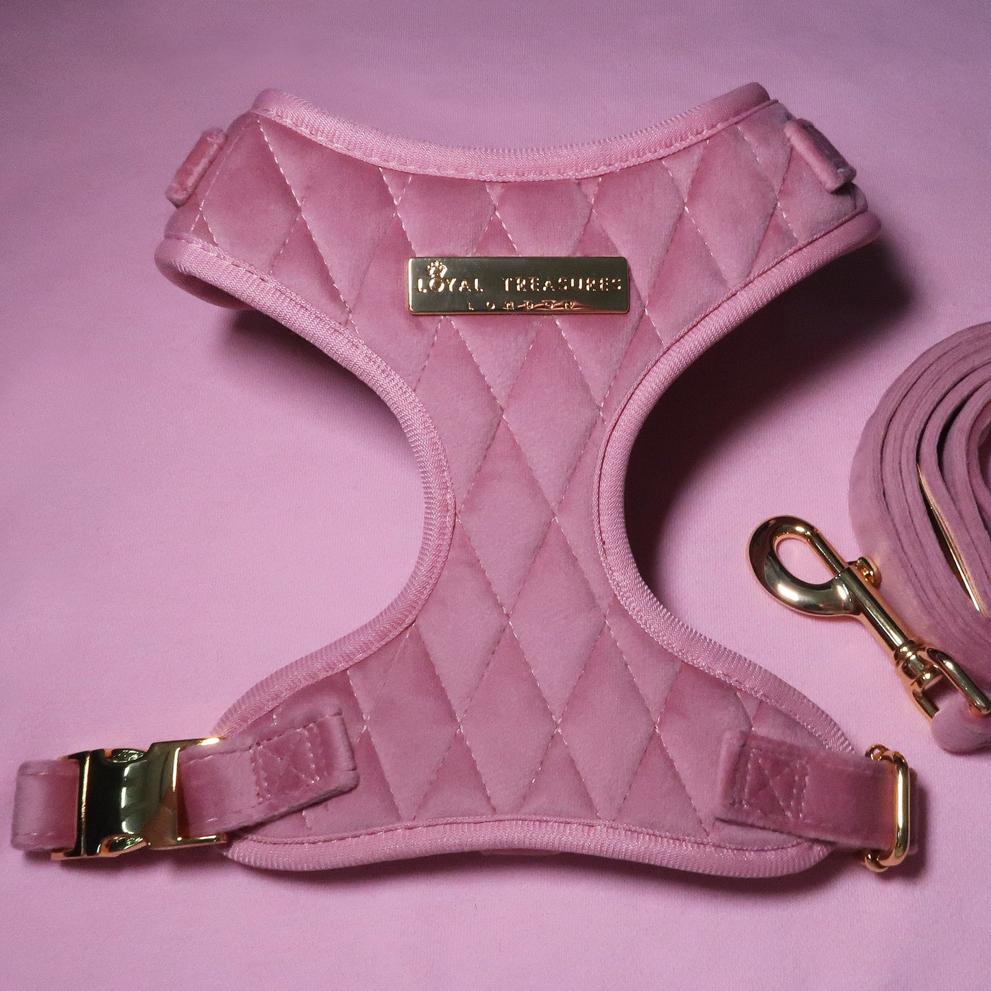 Pretty in Pink Velvet Adjustable Neck Harness & Lead Bundle