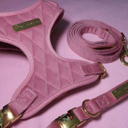 Pretty in Pink Velvet Adjustable Neck Harness, Lead & Collar Bundle