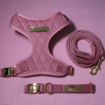 Pretty in Pink Velvet Adjustable Neck Harness, Lead & Collar Bundle