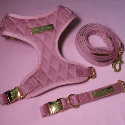 Pretty in Pink Velvet Adjustable Neck Harness, Lead & Collar Bundle