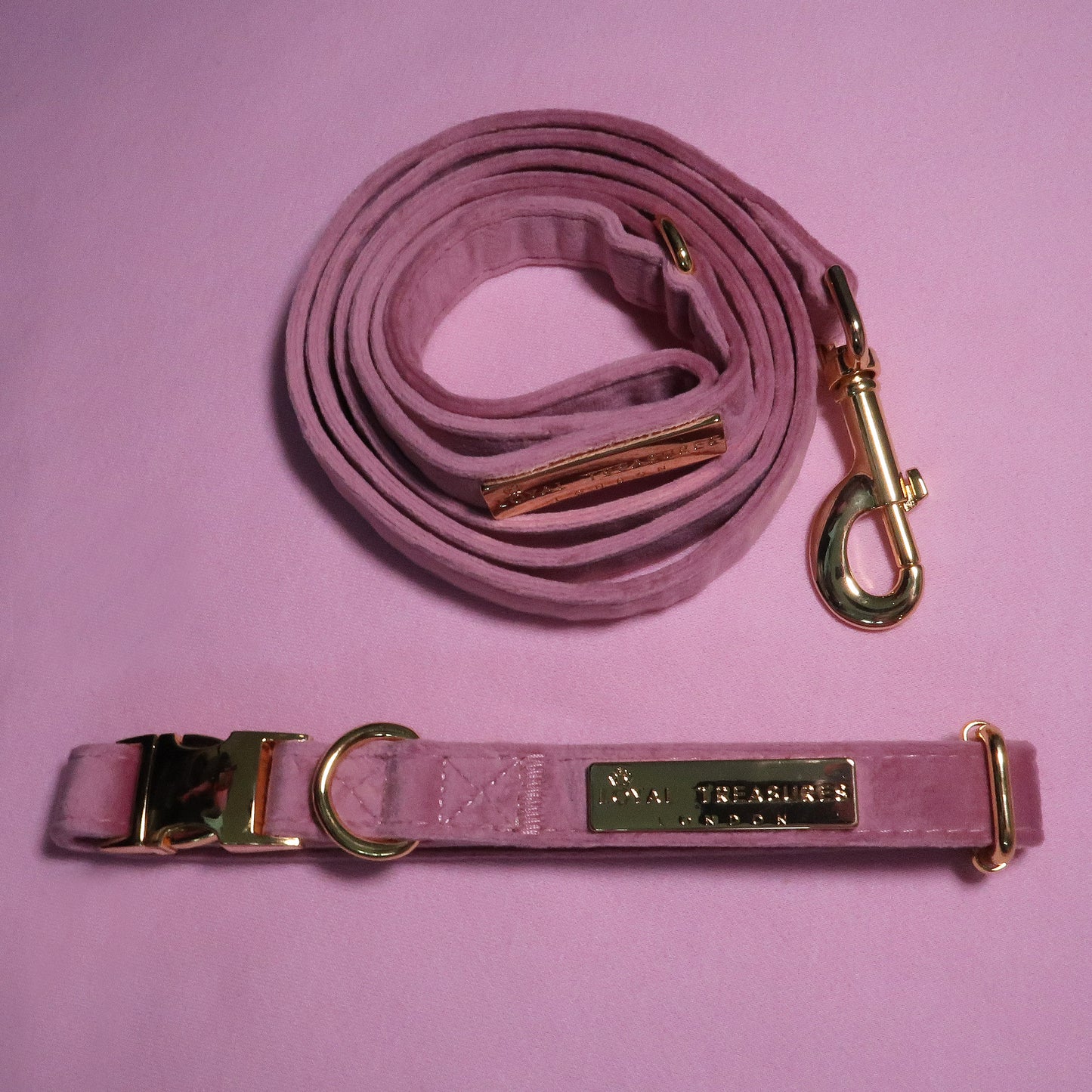 Pretty in Pink Velvet Lead & Collar Bundle