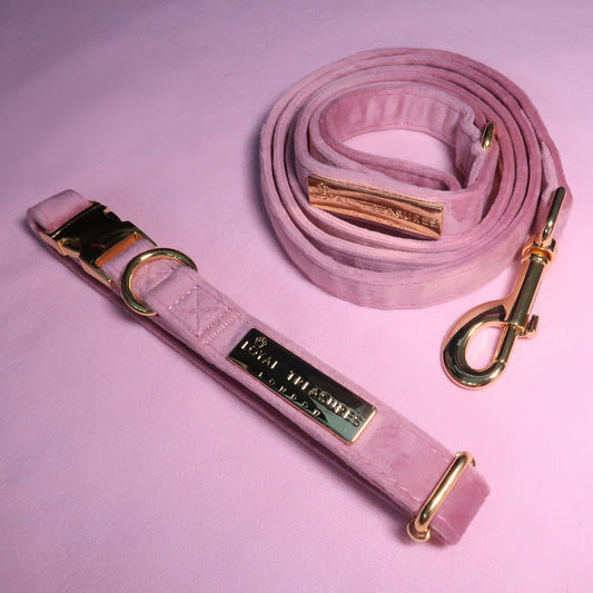 Pretty in Pink Velvet Lead & Collar Bundle