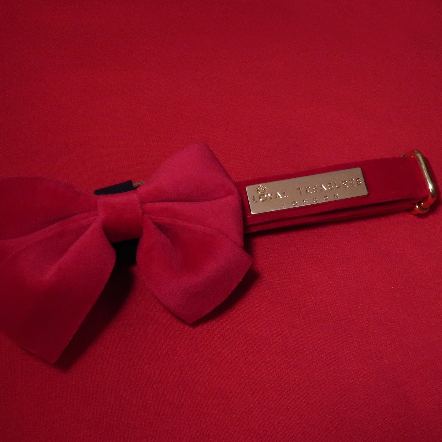 Royal Red Velvet Collar