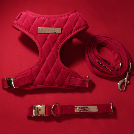 Royal Red Velvet Adjustable Neck Harness, Lead & Collar Bundle