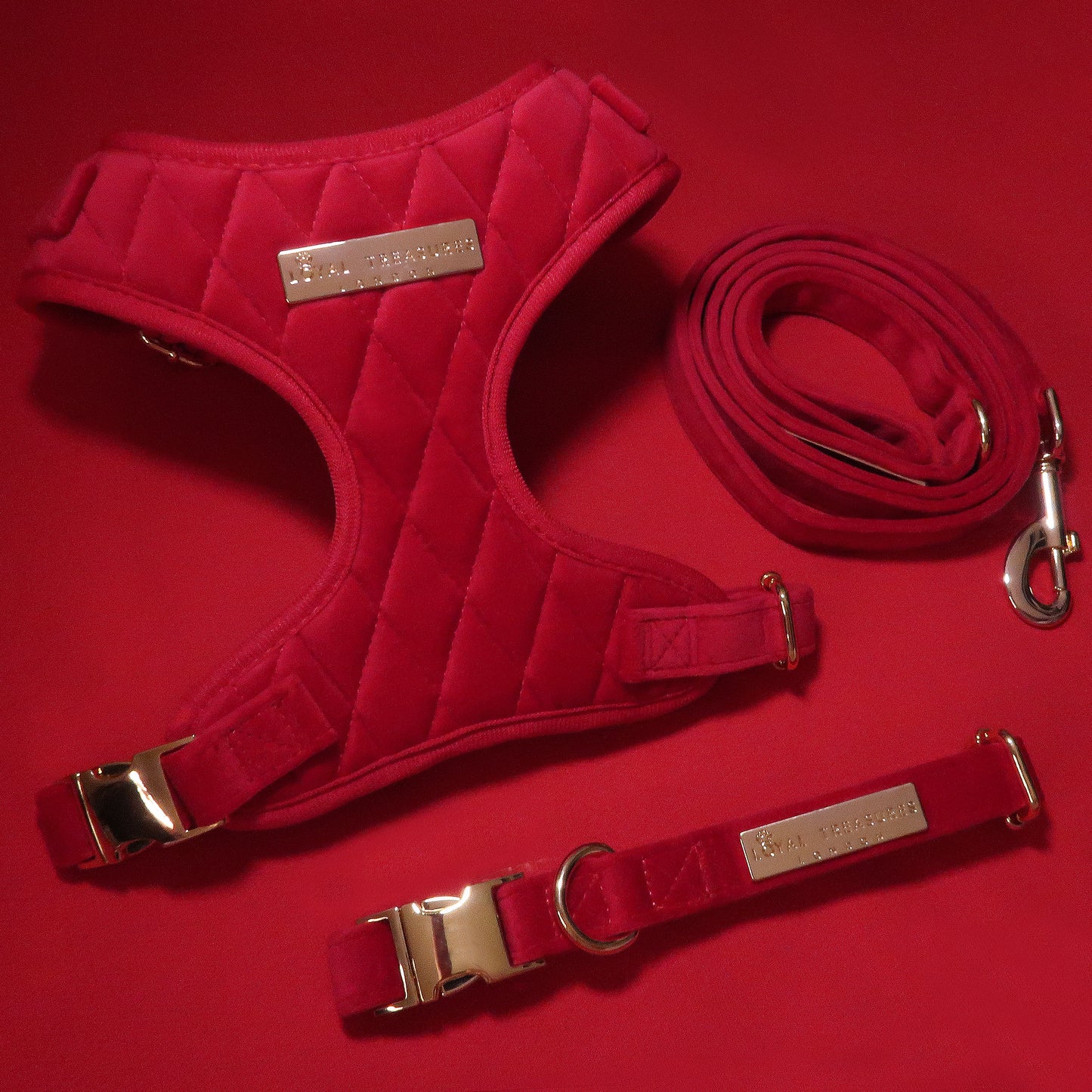 Royal Red Velvet Adjustable Neck Harness, Lead & Collar Bundle