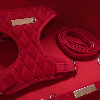 Royal Red Velvet Adjustable Neck Harness, Lead & Collar Bundle