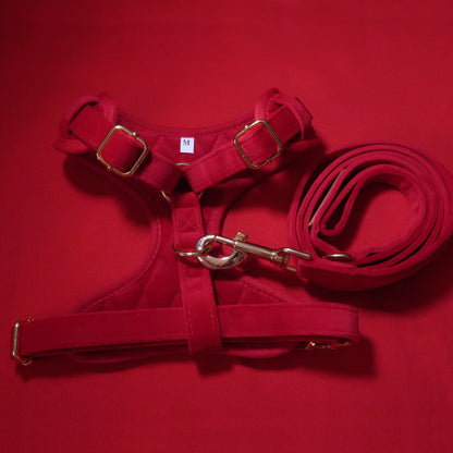 Royal Red Velvet Adjustable Neck Harness, Lead, Collar, Poop Bag, Bow Tie Bundle