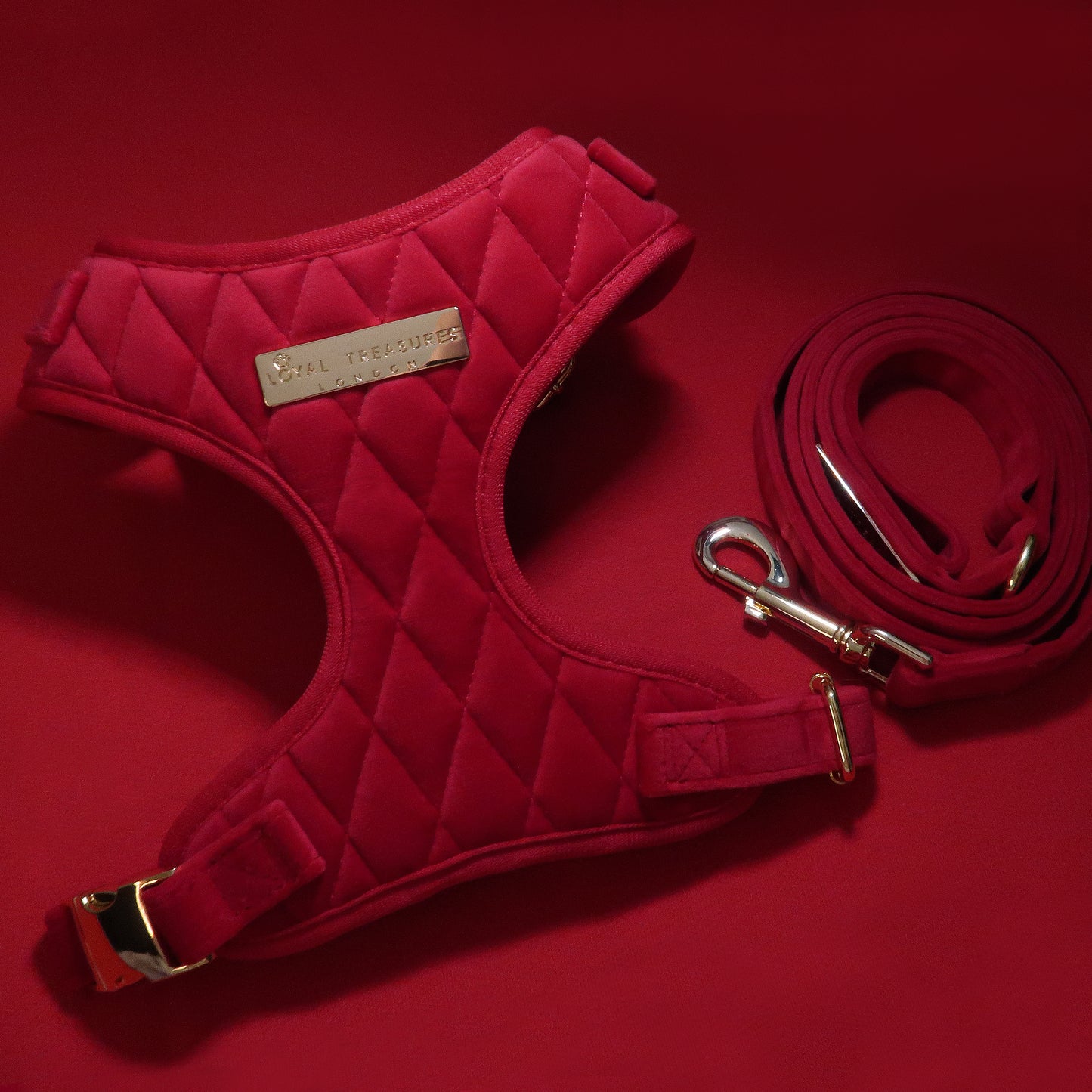 Royal Red Velvet Adjustable Neck Harness & Lead Bundle