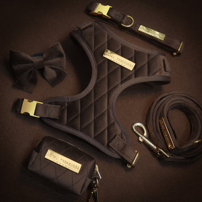 Chocolat Veloute Harness, Lead, Collar, Poop Bag, Bow Tie Bundle